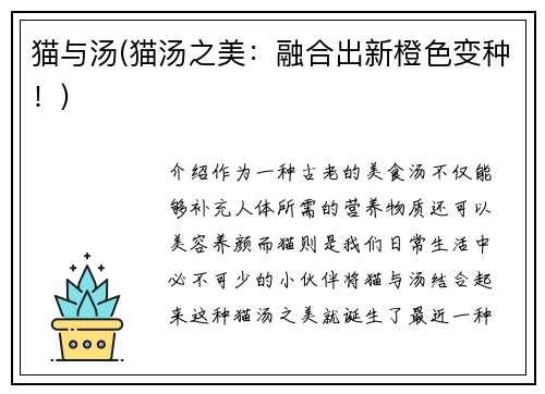 猫与汤(猫汤之美：融合出新橙色变种！)
